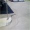 image4.jpg
